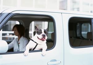 カーカバーを選ぶ時に注意する事